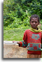 Sprzedawca przy drodze::Płaskowyż Centralny, Madagaskar::
