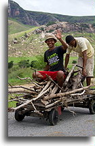 Zbieracze chrustu::Płaskowyż Centralny, Madagaskar::
