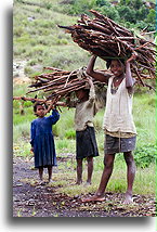 Trzy dziewczynki z chrustem::Płaskowyż Centralny, Madagaskar::
