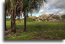 Le Jardin du Roy #2::Isalo, Madagaskar::