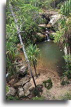 Piscine Naturelle::Isalo, Madagaskar::