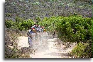 Lokalny autobus::Saint-Augustin, Madagaskar::