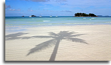 Plaża Anse Lazio::Praslin, Szeszele::