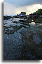Wybrzeże podczas odpływu::Bali, Indonezja::