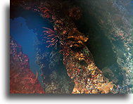 Wrak USS Liberty #2::Bali, Indonezja::