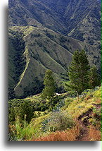 Dolina::Tana Toradża, Celebes Indonezja::