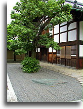 Daisen-in::Swiatynia Daisen-in w Kioto, Japonia::