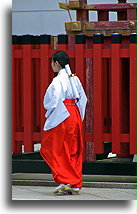 Kapłanka szinto::Japonia::