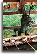Fontanna smoka::Świątynia Kofuku-ji, Nara, Japonia::
