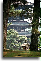 Kofuku-ji