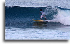 Surfer w Malé::Malé, Malediwy::