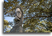 Tam-tam w Królewskim Ogrodzie Botanicznym::Sydney, Australia::