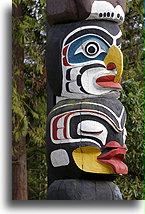 Gigantka Dzunuk'wa::Vancouver, Kolumbia Brytyjska, Kanada::