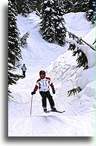 Z lasu::Whistler, Kolumbia Brytyjska, Kanada::