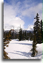 Widok na Blackcomb::Whistler, Kolumbia Brytyjska, Kanada::