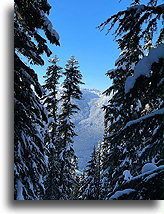 Widok ze szlaku w lesie::Whistler, Kolumbia Brytyjska, Kanada::