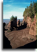Odpływ w Hopewell Rocks::Hopewell Rocks, Nowy Brunszwik, Kanada::
