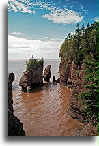 Przypływ w Hopewell Rocks::Hopewell Rocks, Nowy Brunszwik, Kanada::