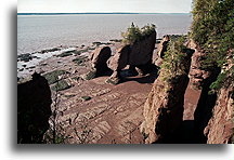 Odpływ w Zatoce Fundy::Hopewell Rocks, Nowy Brunszwik, Kanada::