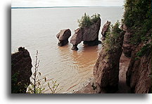 Przypływ w Zatoce Fundy::Hopewell Rocks, Nowy Brunszwik, Kanada::