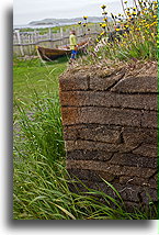 Darń::L'Anse aux Meadows, Nowa Fundlandia, Kanada::