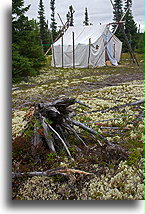 Namiot pionierów::Labrador Highway, Labrador, Kanada::