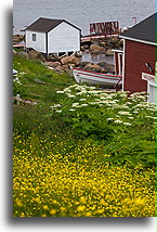 Wybrzeże w Red Bay::Labrador, Kanada::