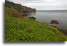 Ruch wody::Cape d'Or, Nowa Szkocja, Kanada::