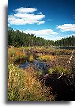 Matawinie