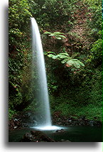Spanny's Twin Falls::Dominika, Karaiby::