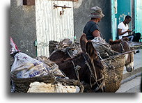 Z dwoma osłami::Cap-Haïtien, Haiti, Karaiby::