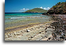 Rafa przybrzeżna::Wyspa Culebra, Puerto Rico, Karaiby::