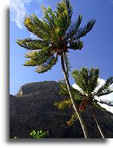 Petit Piton::St. Lucia, Karaiby::