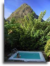 Basenik z widokiem na Pitony::St. Lucia, Karaiby::