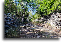 Droga do plantacji::North Caicos, Turks i Caicos::