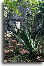 Budynek na plantacji::North Caicos, Turks i Caicos::