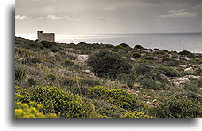 Baszta Ħamrija::Malta::