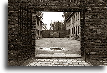 Ściana Straceń::Obóz koncentracyjny Auschwitz::
