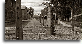 Obozowe ogrodzenie #2::Obóz koncentracyjny Auschwitz::