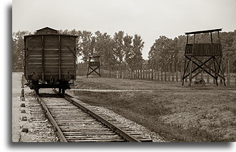 Tory kolejowe::Obóz koncentracyjny Auschwitz::