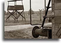 Wagon towarowy::Obóz koncentracyjny Auschwitz::