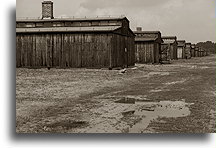 Drewniane baraki::Obóz koncentracyjny Auschwitz::