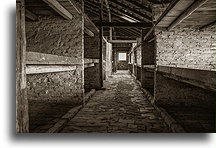 Łóżka w drewnianym baraku::Obóz koncentracyjny Auschwitz::