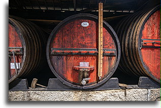 Winnica Quinta do Beijo::Dolina rzeki Duero, Portugalia::