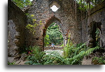 Ruiny kaplicy::Pałac Monserrate, Sintra, Portugalia::