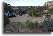 Poranek w rejonie Igieł w Canyonlands::Park Narodowy Canyonlands, Utah, USA::