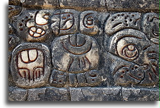 Tekst stiukowy::Caracol, Belize::