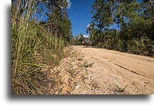 Droga powrotna::Rezerwat leśny Mountain Pine Ridgee, Belize::