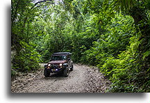 Droga do El Pilar::El Pilar, Belize::