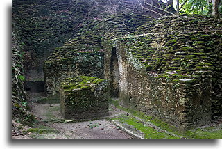 Plac Jobo::El Pilar, Belize::